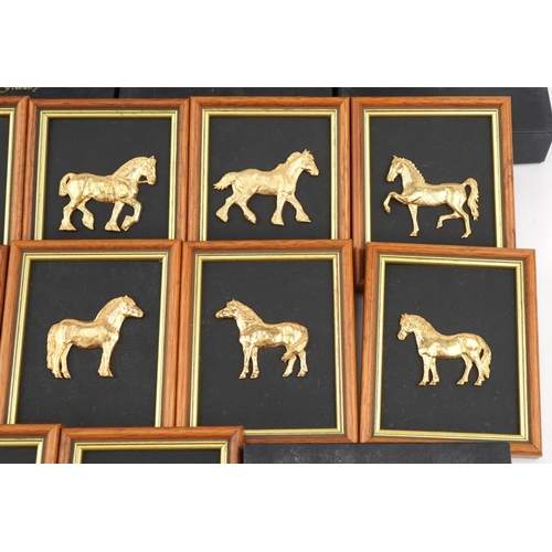 2274 - Twelve Royal Hampshire gilt brass horse wall plaques with boxes, each overall 14cm x 11cm