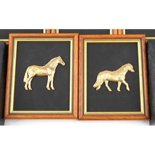 2274 - Twelve Royal Hampshire gilt brass horse wall plaques with boxes, each overall 14cm x 11cm