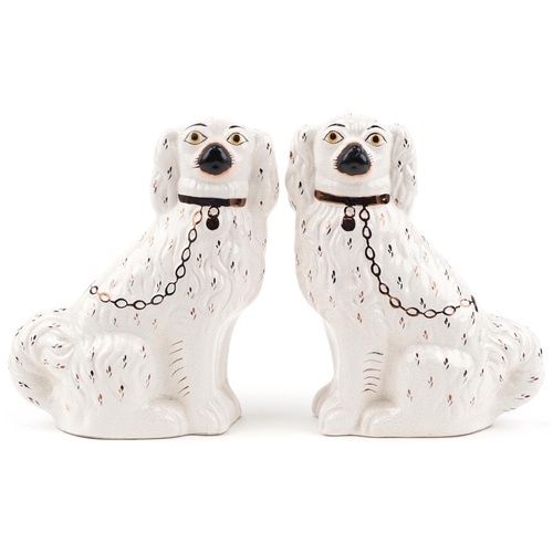 2187 - Pair of Staffordshire style seated Spaniels, 29cm high