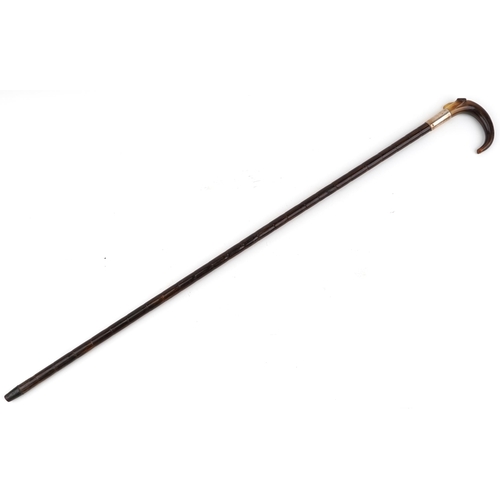 1034 - Bamboo walking stick with silver collar and horn handle, 92cm in length