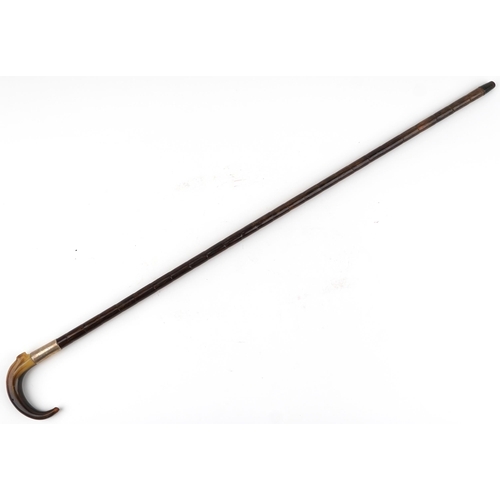 1034 - Bamboo walking stick with silver collar and horn handle, 92cm in length