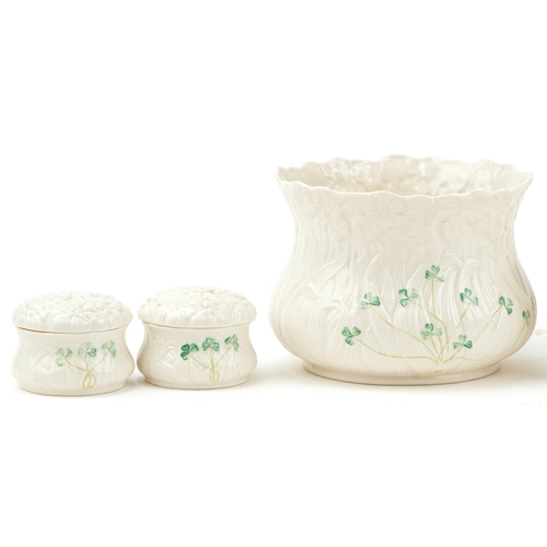 2119 - Belleek Irish porcelain including photo frame, vase and jardinière, the largest 26.5cm high