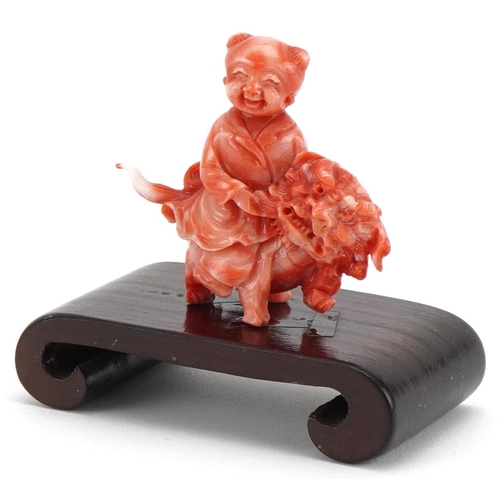 1211 - Chinese coral coloured okimono of a child on dog of Foo mounted on a wooden stand, 6cm in diameter