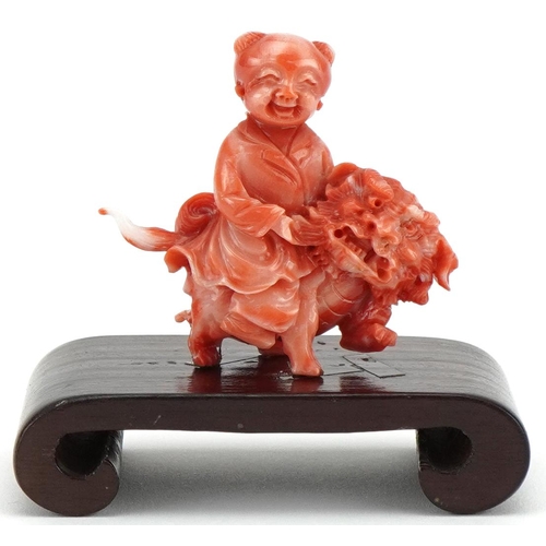 1211 - Chinese coral coloured okimono of a child on dog of Foo mounted on a wooden stand, 6cm in diameter