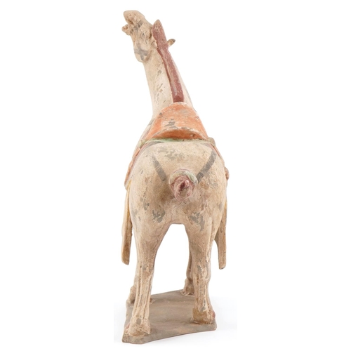 1181 - Large Chinese terracotta Tang style horse, 46cm high