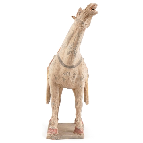 1181 - Large Chinese terracotta Tang style horse, 46cm high