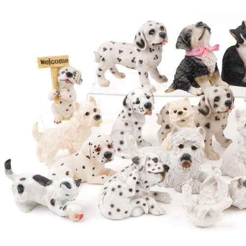 2311 - Large collection of decorative resin model dogs including Regency Fine Art, the largest 18cm high