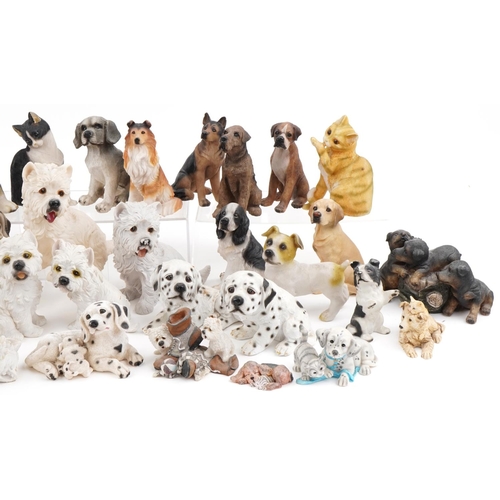 2311 - Large collection of decorative resin model dogs including Regency Fine Art, the largest 18cm high