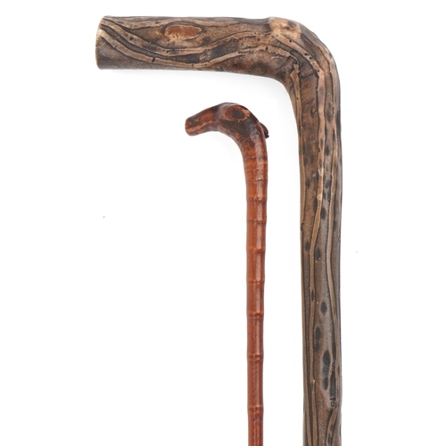 2308 - Two naturalistic wooden walking sticks, the largest 85cm in length