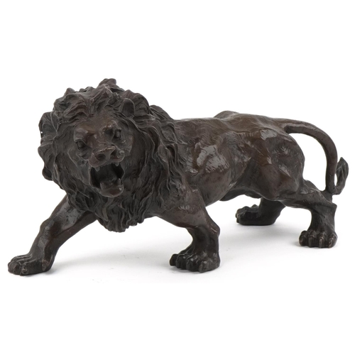 1072 - Large patinated bronze study of a lion, 31cm in length