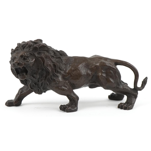 1072 - Large patinated bronze study of a lion, 31cm in length