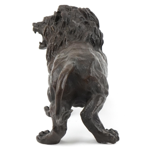 1072 - Large patinated bronze study of a lion, 31cm in length