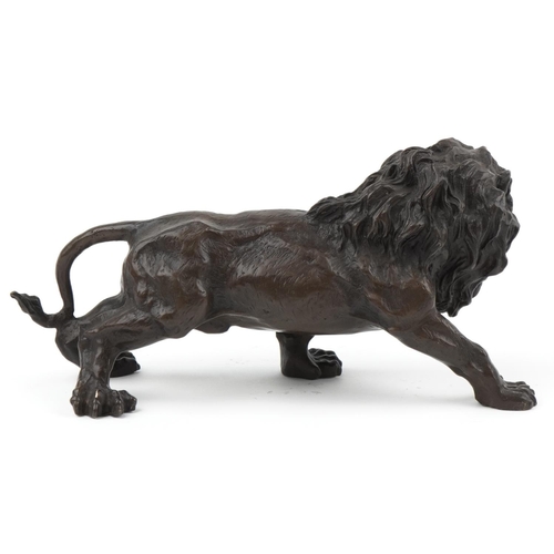 1072 - Large patinated bronze study of a lion, 31cm in length