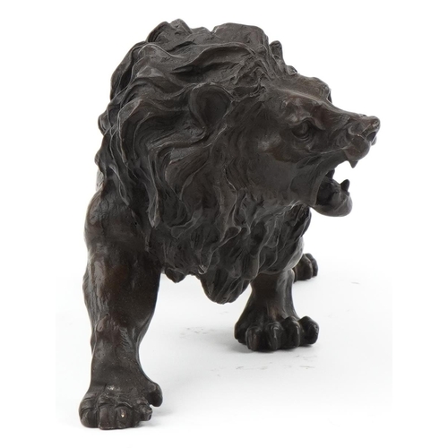 1072 - Large patinated bronze study of a lion, 31cm in length