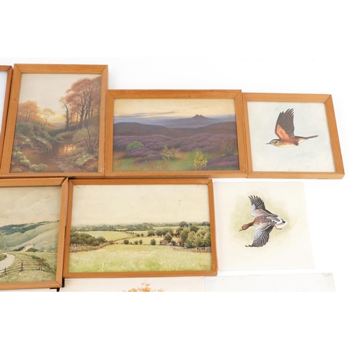 2194 - Herbert Ahier - Assorted unframed watercolours including Bodiam Castle and birds in flight together ... 