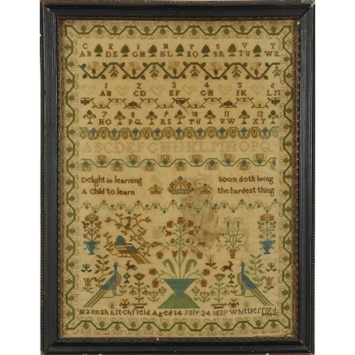 1225 - Victorian sampler worked by Hannah Litchfield aged 14 years, July 24th 1829, Whittlerford School wit... 