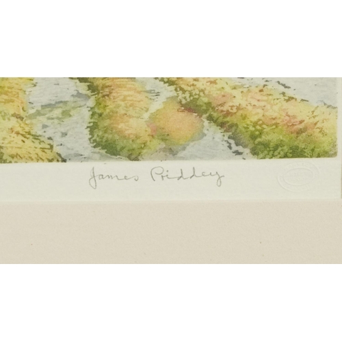 2236 - James Priddey - Penmaenpool, pencil signed print in colour and Quinton Morgan - The Sunlit Bay Seagu... 