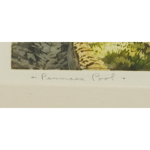 2236 - James Priddey - Penmaenpool, pencil signed print in colour and Quinton Morgan - The Sunlit Bay Seagu... 