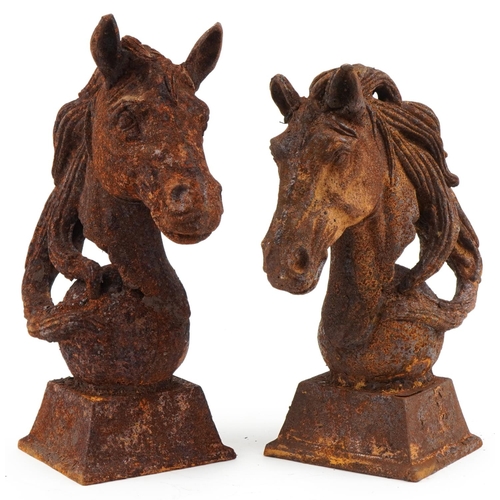 2250 - Two cast iron horse heads, the largest 46cm high