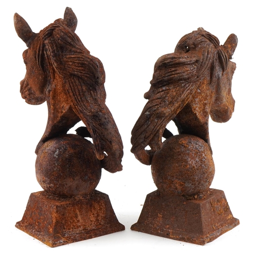 2250 - Two cast iron horse heads, the largest 46cm high