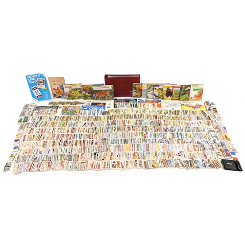 2516 - Cigarette and tea cards, some in albums including Wills, Players Cycling, Wills School Arms, Disney,... 