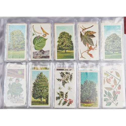 2516 - Cigarette and tea cards, some in albums including Wills, Players Cycling, Wills School Arms, Disney,... 