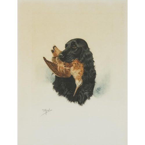 1388 - J B Ruel?  - Dogs with game birds, six prints, each contemporary mounted, framed and glazed, each 60... 