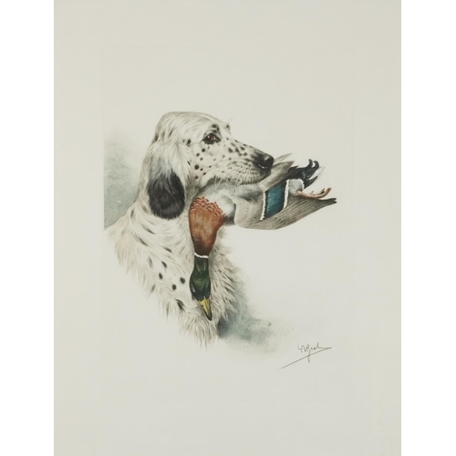 1388 - J B Ruel?  - Dogs with game birds, six prints, each contemporary mounted, framed and glazed, each 60... 