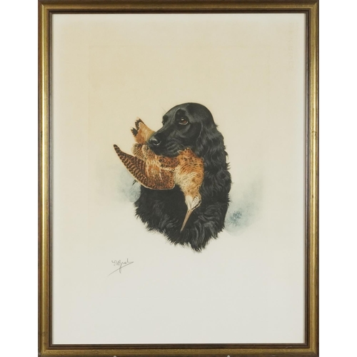 1388 - J B Ruel?  - Dogs with game birds, six prints, each contemporary mounted, framed and glazed, each 60... 