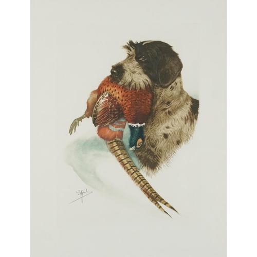 1388 - J B Ruel?  - Dogs with game birds, six prints, each contemporary mounted, framed and glazed, each 60... 