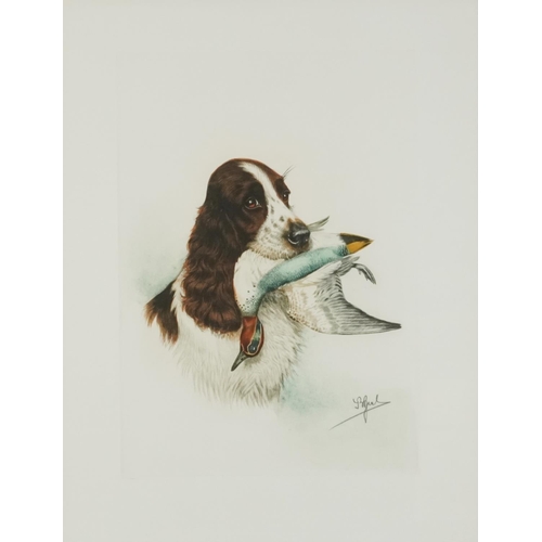 1388 - J B Ruel?  - Dogs with game birds, six prints, each contemporary mounted, framed and glazed, each 60... 