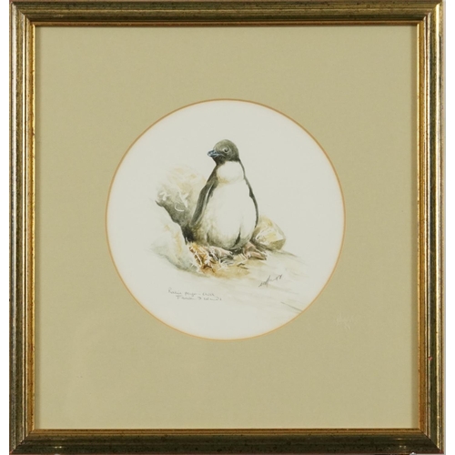 1414 - N Hurst - Magellan Jackass penguin and Rocky penguin chick, Falkland Islands, two circular watercolo... 