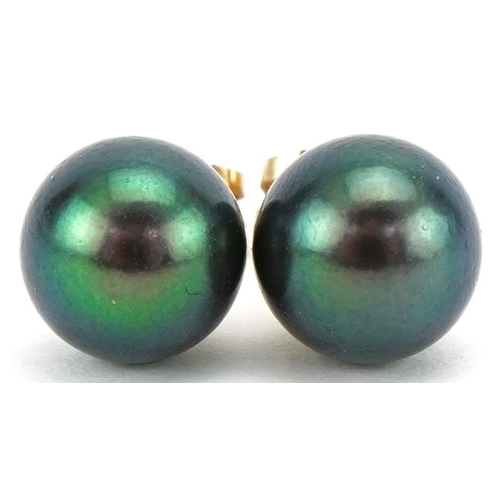 3174 - Pair of yellow metal cultured pearl stud earrings, 8mm in diameter, total 2.0g