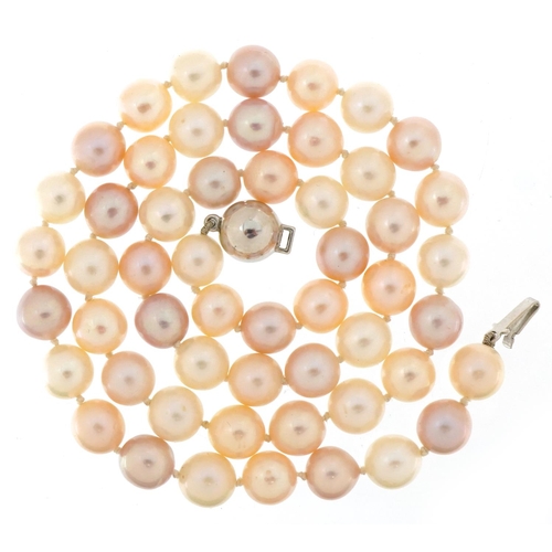 3436 - Cultured white and pink pearl necklace with 14ct white gold clasp, each pearl approximately 7.5mm in... 