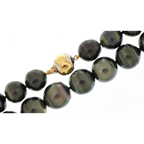 3413 - Graduated Tahitian pearl necklace with 18ct two tone gold clasp, the largest pearl approximately 13m... 