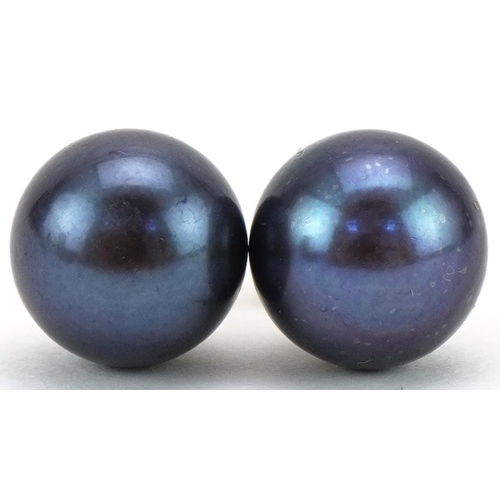 3160 - Pair of 9ct gold black cultured pearl stud earrings, 9.5mm in diameter, total 2.6g