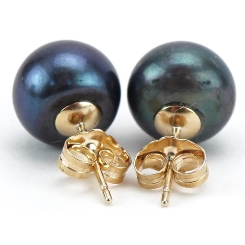 3160 - Pair of 9ct gold black cultured pearl stud earrings, 9.5mm in diameter, total 2.6g