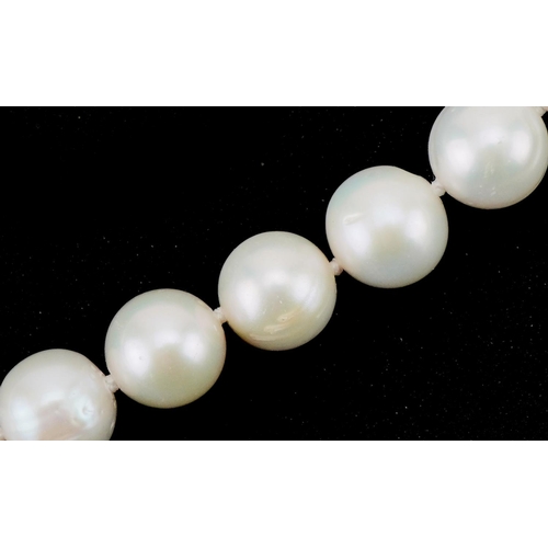 3141 - Cultured pearl bracelet with silver gilt clasp, each pearl approximately 9mm in diameter, 16cm in le... 