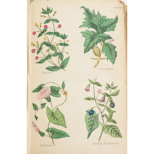 1585 - The Old English Herbals 1922, A New Family Herbal with coloured plates, British Herbal Culpeper, Rob... 