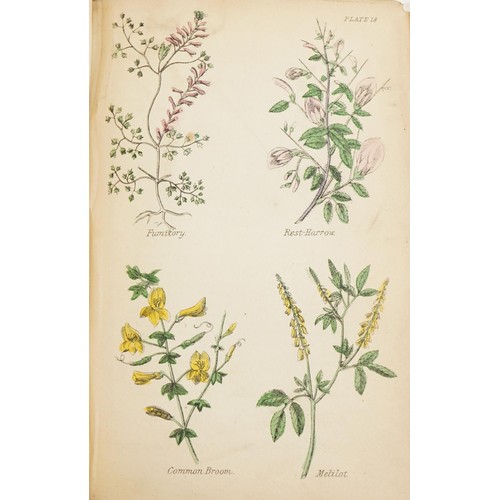 1585 - The Old English Herbals 1922, A New Family Herbal with coloured plates, British Herbal Culpeper, Rob... 