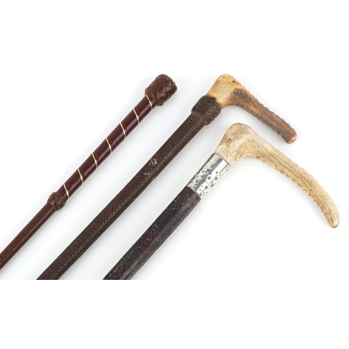 1426 - Three leather riding crops including one with horn handle and silver collar