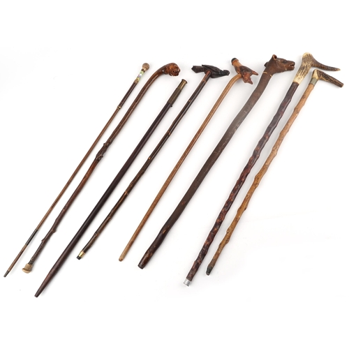 1427 - Collection of vintage and later walking sticks, some with horn handles and carved animal head handle... 