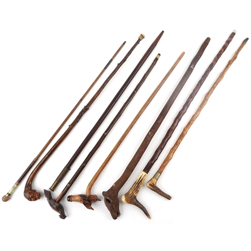 1427 - Collection of vintage and later walking sticks, some with horn handles and carved animal head handle... 