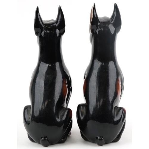 1212 - Pair of porcelain studies of seated Dobermans, 36cm high