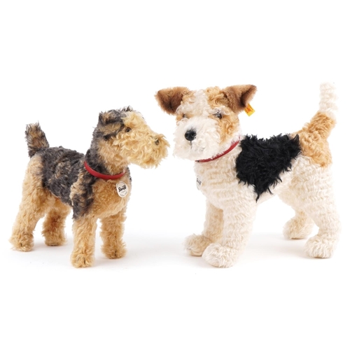 Two Steiff dog teddy bears numbers 031717 and 035012, the largest 35cm in length