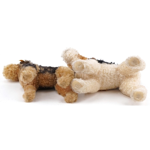  Two Steiff dog teddy bears numbers 031717 and 035012, the largest 35cm in length