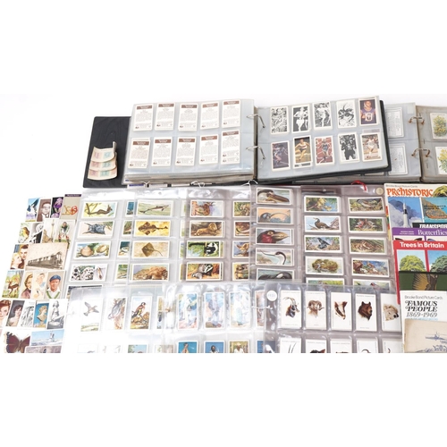 2305 - Extensive collection of early 20th century and later cigarette cards and tea cards, some arranged in... 