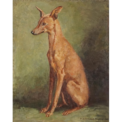 3616 - Marjorie Maitland Howard (1899-1983) - Jenny, portrait of a Whippet, mid 20th century oil on board, ... 