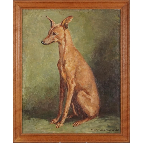 3616 - Marjorie Maitland Howard (1899-1983) - Jenny, portrait of a Whippet, mid 20th century oil on board, ... 