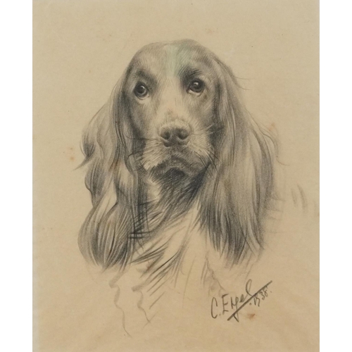 3582 - Portrait of a Spaniel, early 20th century pencil on paper, indistinctly signed, framed and glazed, 1... 